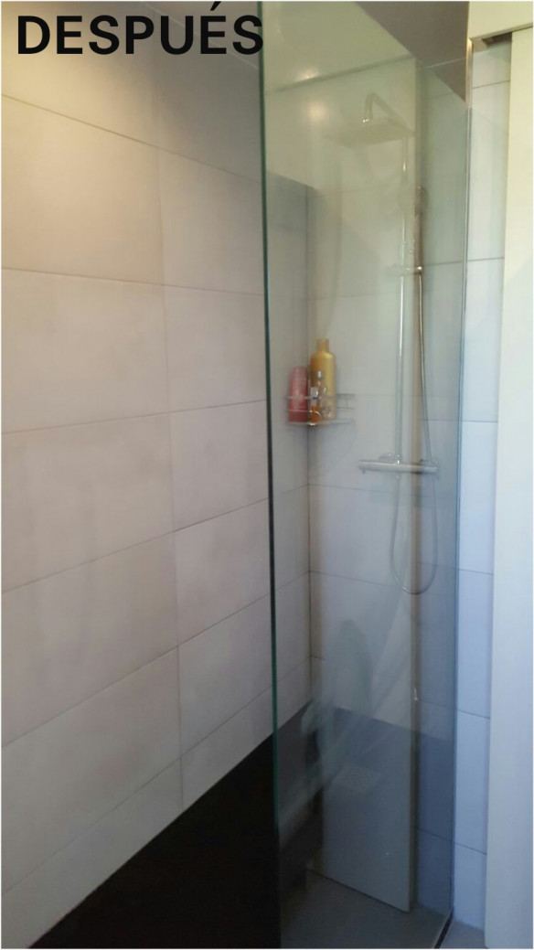 Reforma baño Av. de Esparta, Las Rozas